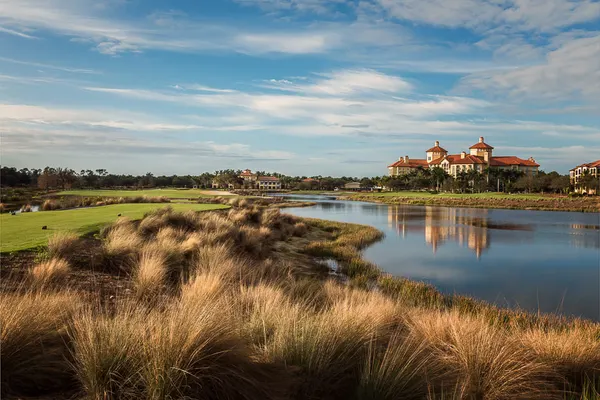 Tiburón Golf Club