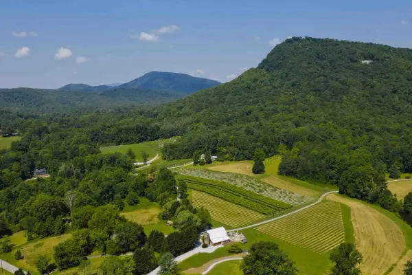 Tiger Mountain Vineyards & Wedding Venue