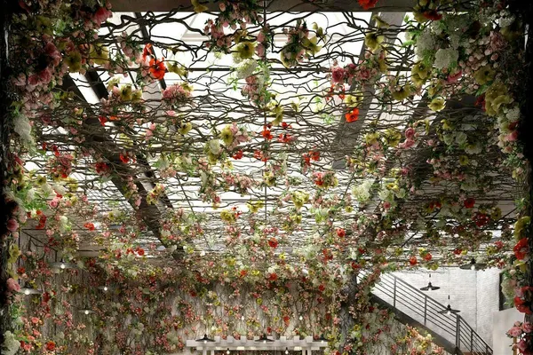 Timbr Restaurant
