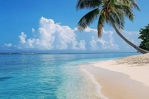 Tropical Flava