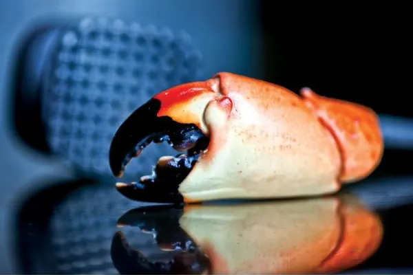 Truluck's Ocean's Finest Seafood and Crab