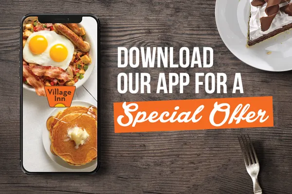 Village Inn