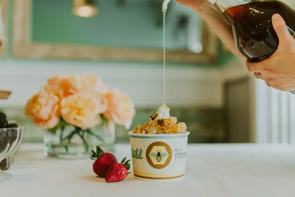 Wild Honey Frozen Yogurt - Pensacola, FL