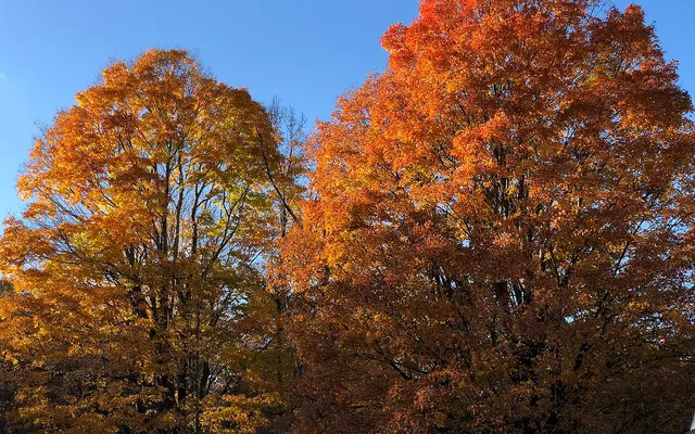 Vermont