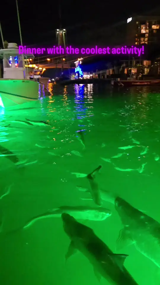 15th Street Fisheries in Fort Lauderdale showing drinks, food, location, video by thaistravels on TikTok