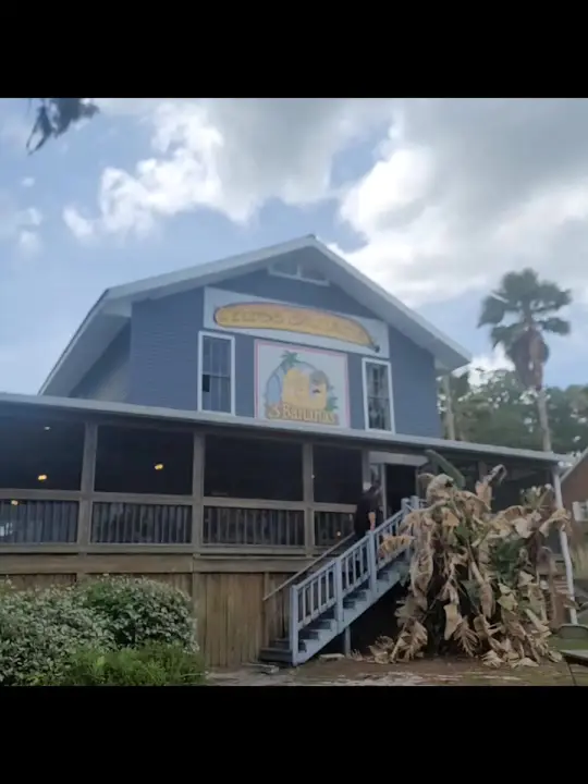 3 Bananas in Crescent City, video by jessylee128 on TikTok