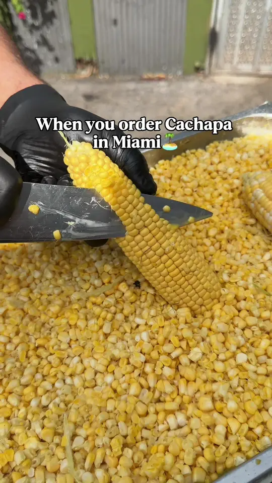  in Florida showing food, cachapa con queso de mano, video by hamoni_usa on TikTok