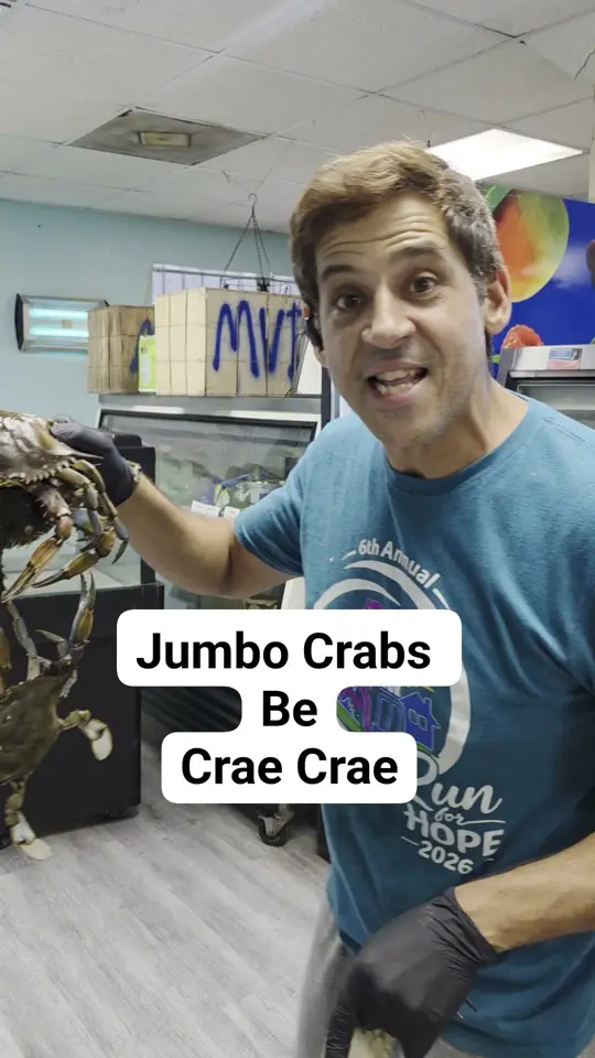 A1A Crab House in St. Augustine showing live crabs, seafood, video by A1A Crab House on Facebook
