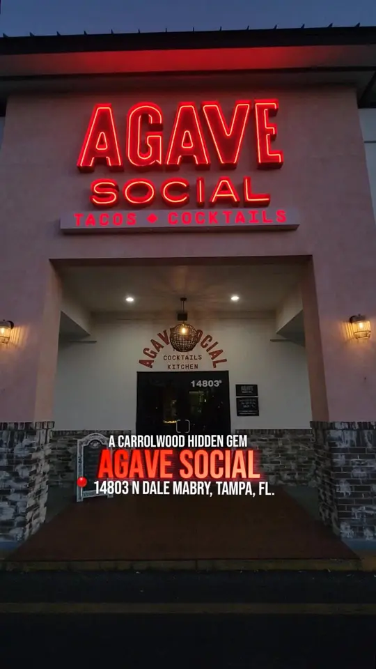 Agave Social in Tampa showing review, visit, creative scratch-made bites, handcrafted cocktails, tequila & mezcal selection, video by adventuresofmyah on TikTok