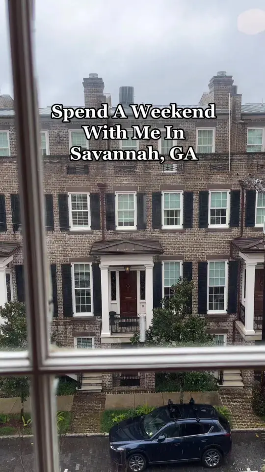 Alley Cat Lounge in Savannah showing bar, cocktails, basement bar, video by mkrichtman on TikTok
