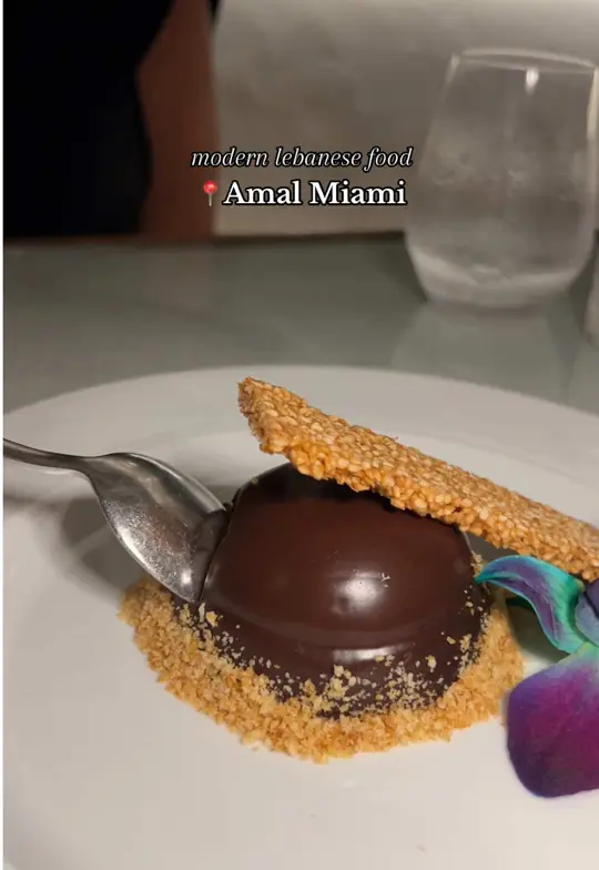 Amal Miami in Miami showing review, visit, hummus, kibbeh, branzino, skewer platters, ashta with phyllo, chocolate halva mousse, video by carodalal731 on TikTok
