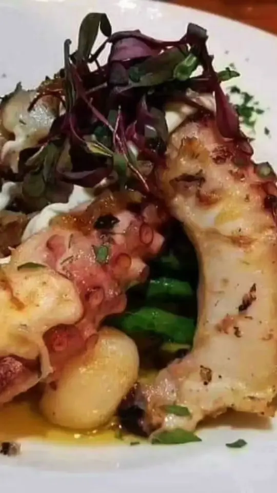 Amore Restaurant in Sarasota showing italian cuisine, portuguese cuisine, pasta, date night ambiance, video by Amore Restaurant on Facebook