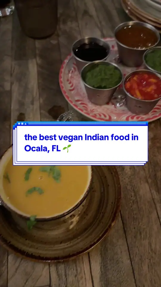 Amrit Palace in Ocala showing vegan chana masala, indian food, video by laurenvacula on TikTok