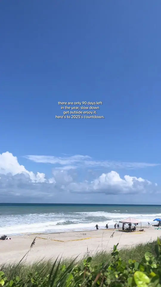 Anaya coffee on TikTok, video by downwithdes