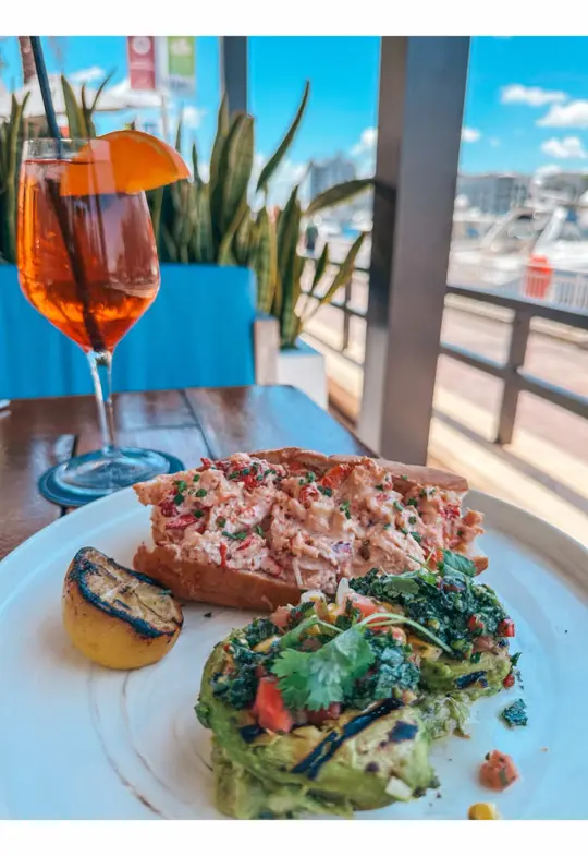 Anchor And Brine in Tampa showing review, ceviche camarillo, lobster roll, fried avocado, blackened grouper sandwich, truffle fries, video by sunkissedintampa on TikTok