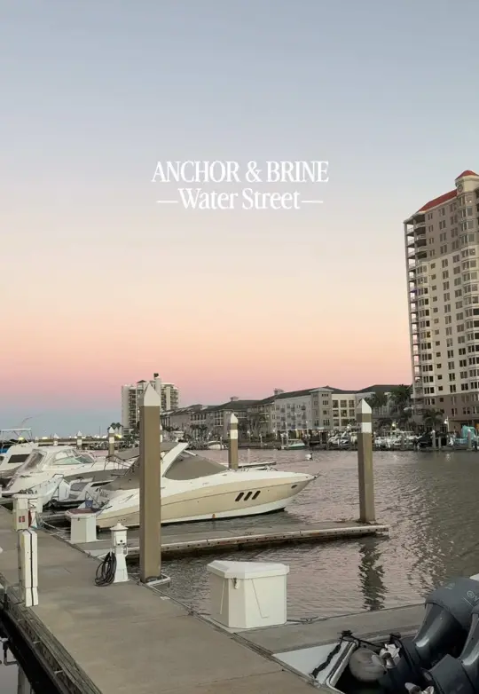 Anchor And Brine in Tampa showing restaurant visit, seafood, video by kseniyakorneva on TikTok