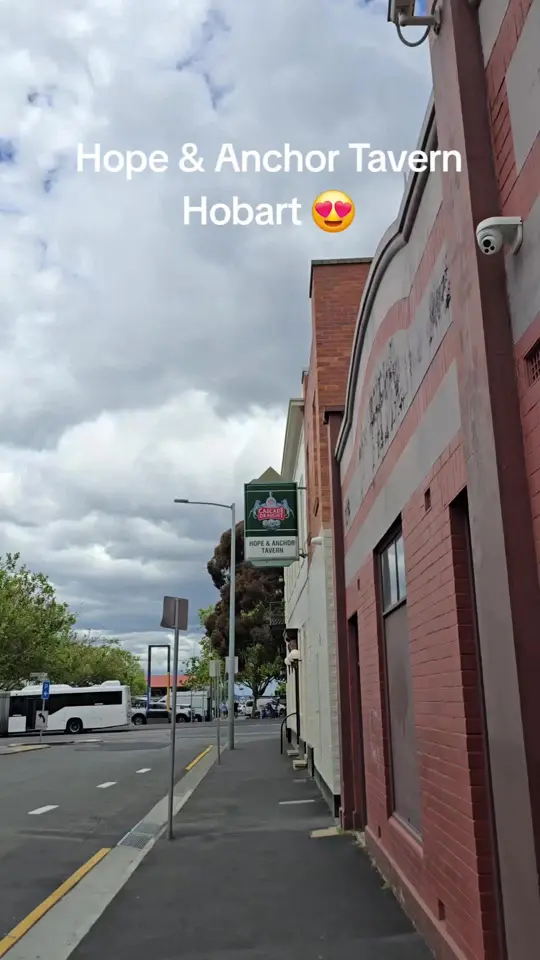 Anchor Tavern in Tampa showing schnitzel, video by rabbscomedy on TikTok