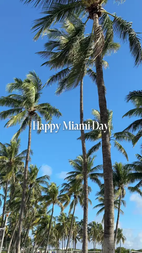 Andrés Carne de Res Miami in Miami Beach showing event, 305 divas night, free welcome shot, dj, video by andrescarnederesmiami on TikTok