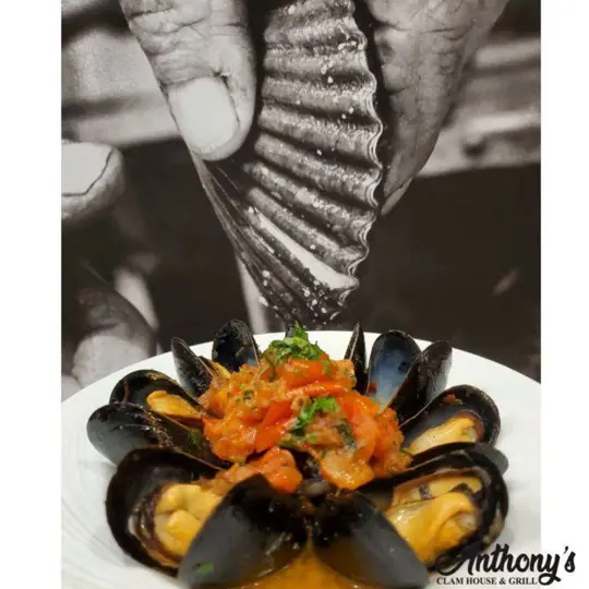  in Florida showing happy hour, mussels, video by Anthony's Clam House & Grill on Facebook