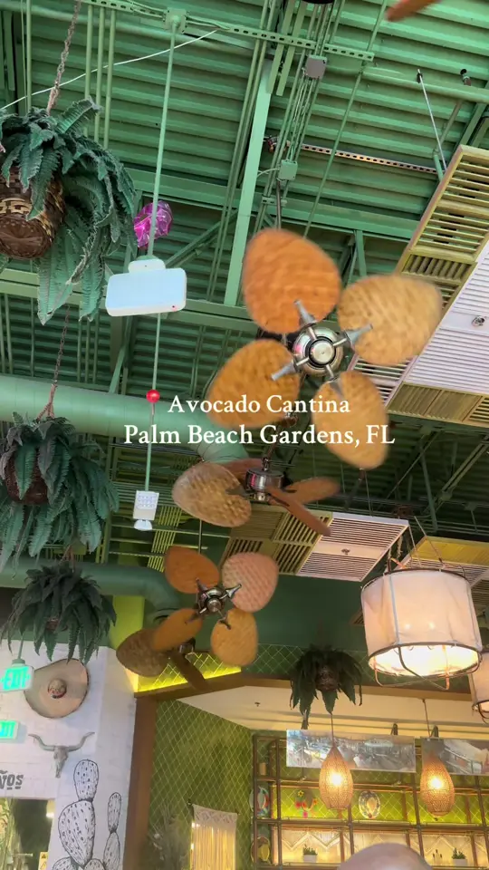 Avocado Cantina in Palm Beach Gardens showing restaurant visit, mexican food, video by travelingtipsy on TikTok