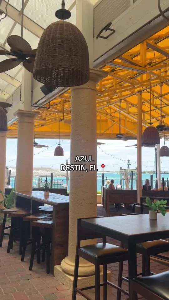  in Florida showing review, visit, video by realemilybass on TikTok