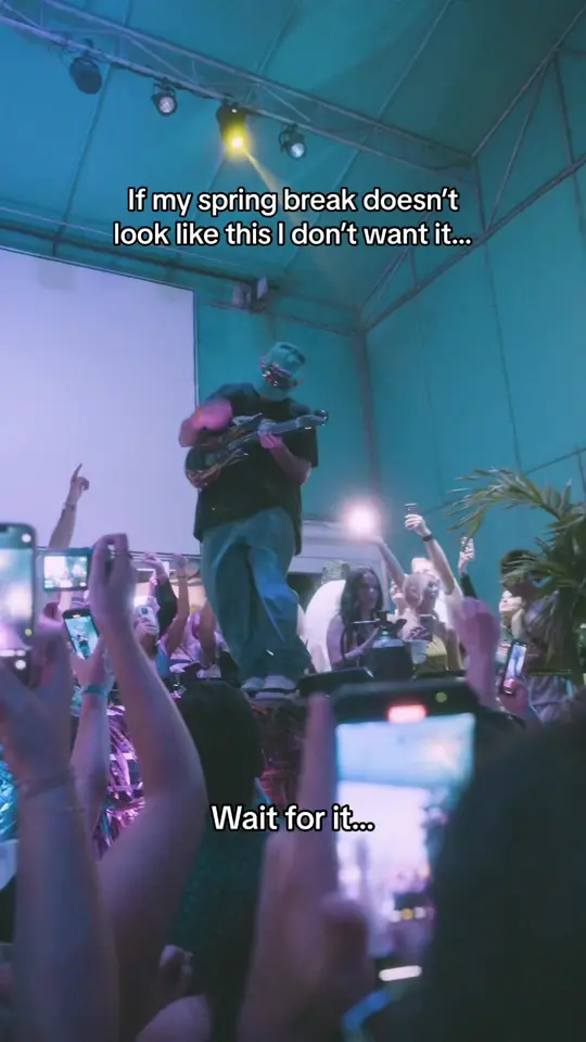 Backyard in Fort Lauderdale showing dj, spring break bar, video by sidequestdj on TikTok