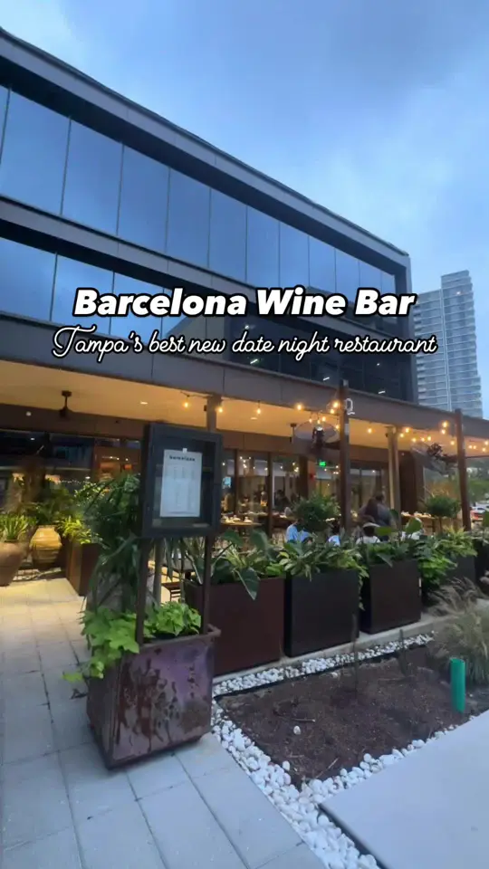 Barcelona Wine Bar in Tampa showing wine, small plates, date night, video by thatssotampa on TikTok