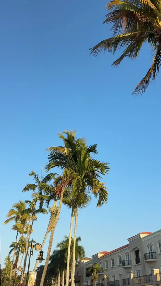Barrio Taqueria in Naples showing visit, taco, video by costicaprioni on TikTok