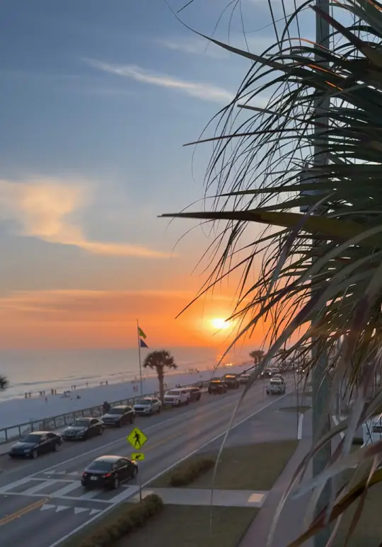 Beach Bar At Royal Palm Grille in Miramar Beach showing review, visit, video by ajatraps_ on TikTok