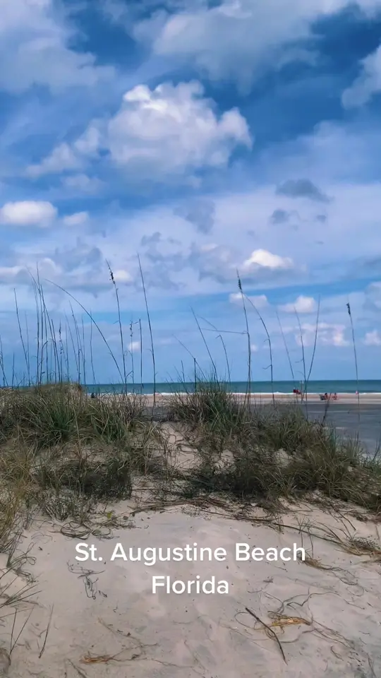 Beachcomber St. Augustine in St. Augustine showing review, visit, video by totallystaugustine on TikTok