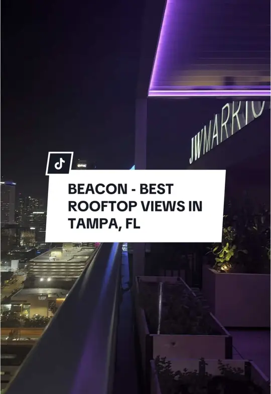 Beacon Tampa Rooftop Lounge in Tampa showing review, visit, appetizer, charcuterie board, cocktail, sunset, video by innythefoodie on TikTok