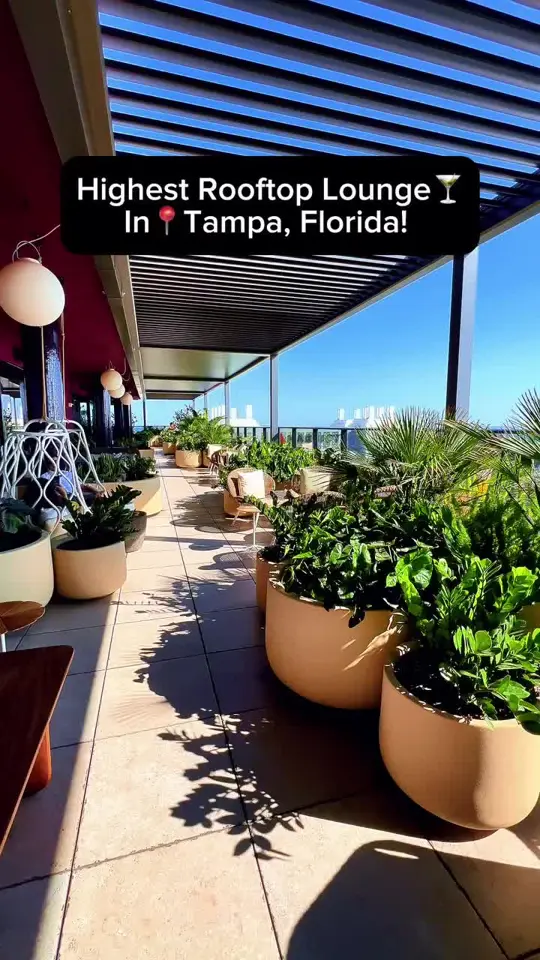 Beacon Tampa Rooftop Lounge in Tampa showing cocktail, rooftop bar, atmosphere, visit, video by thefloridaqueenie_ on TikTok