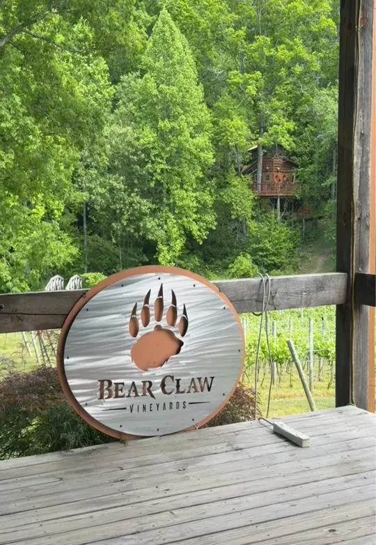 Bear Claw Vineyards & Winery, Inc. in Blue Ridge showing review, wine, food truck, board games, pet friendly, treehouse, video by nataliedemartin on TikTok