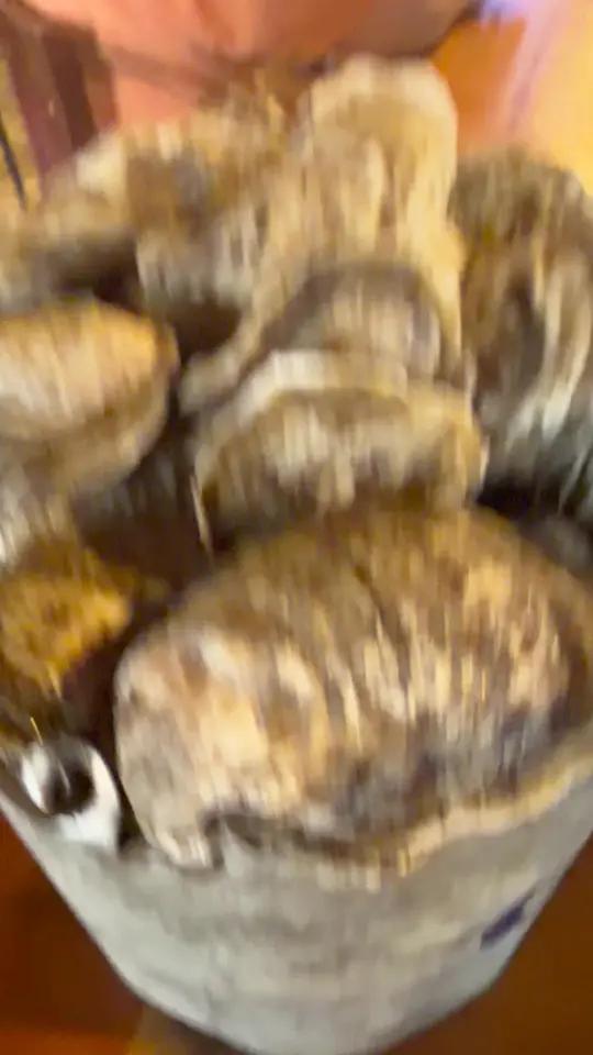 Bernie's Oyster House Tybee Island in Tybee Island showing oysters, local seafood, tybee island dining, video by Mark Brown on Facebook
