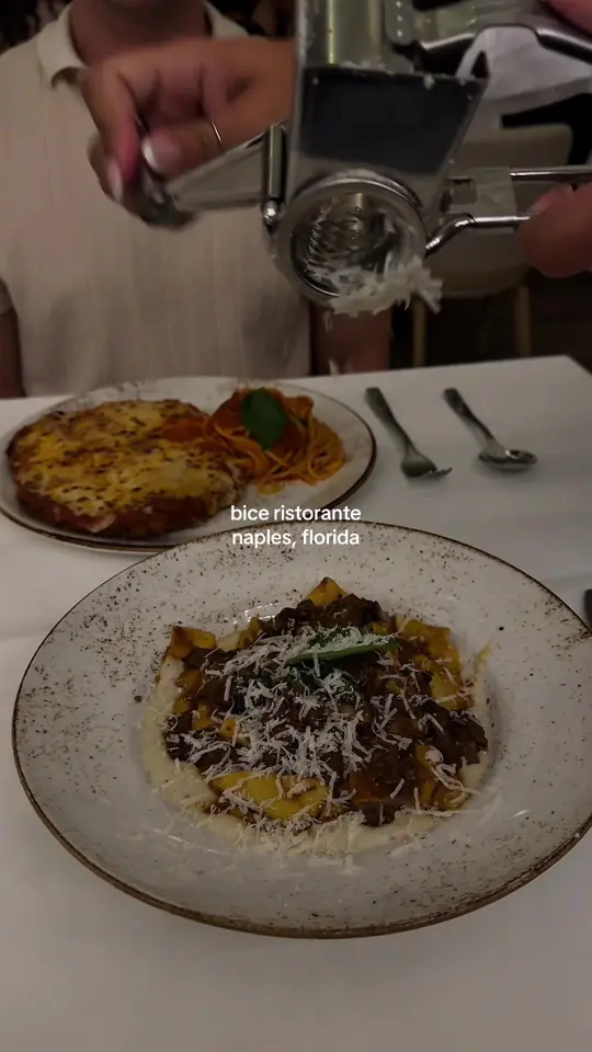 BiCE in Naples showing food, caprese di bice, food, fritto speciale di calamari, food, pollo alla parmigiana, food, short rib pappardelle, dessert, vanilla m, video by melinalately on TikTok