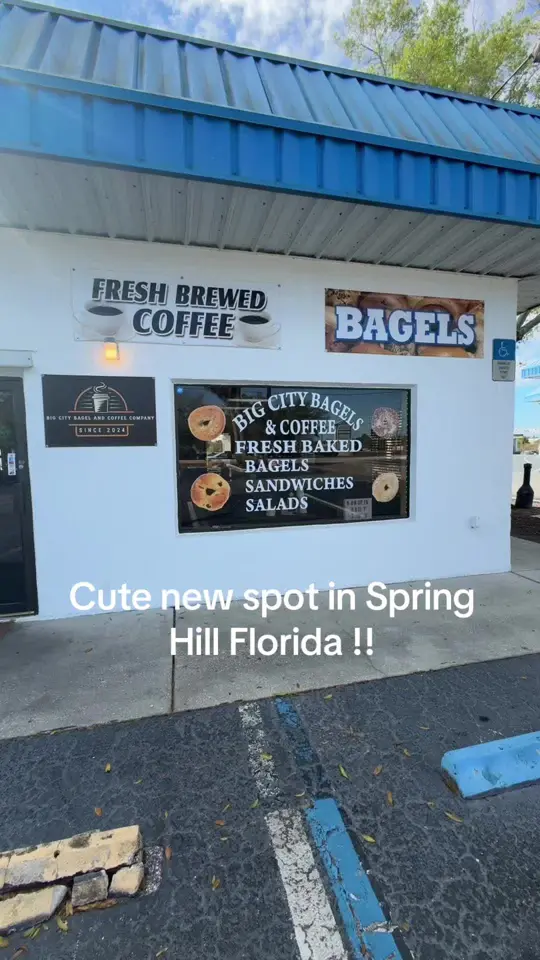 Big City Bagel and Coffee Company in Spring Hill showing bagels, coffee, video by big.city.bagels on TikTok