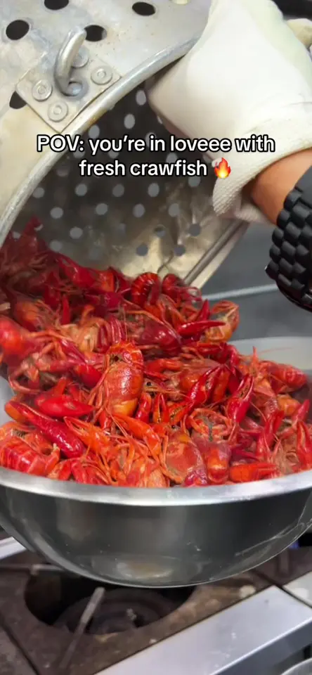 Big Crab in Jacksonville showing seafood boil, crawfish, jacksonville florida, video by bigcrabfl on TikTok
