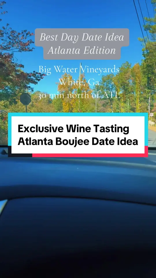 Big Door Vineyards in White showing wine tasting, mexican food, waterfall, helicopter ride, mini trails, live music, video by blkwomanhappy on TikTok