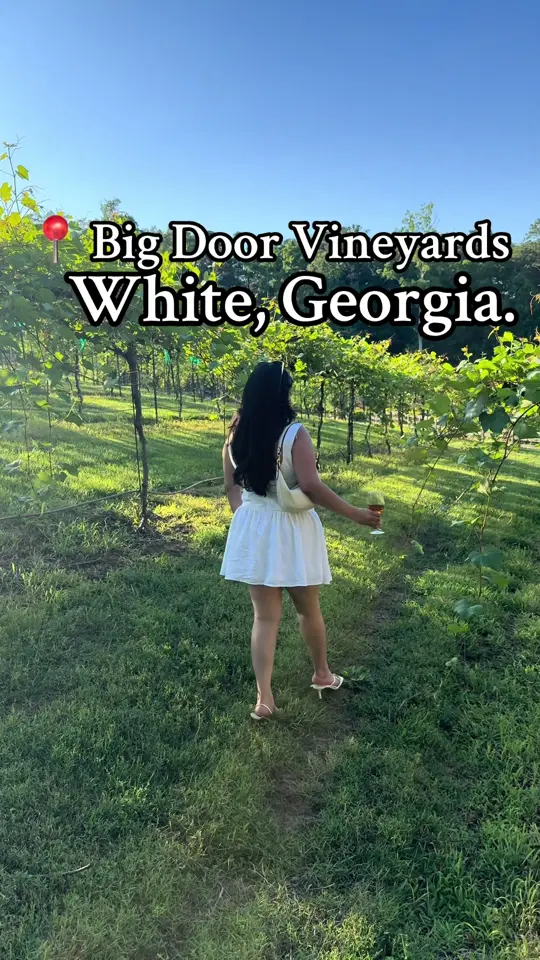 Big Door Vineyards in White showing visit, vineyard, video by daisysantiago111 on TikTok