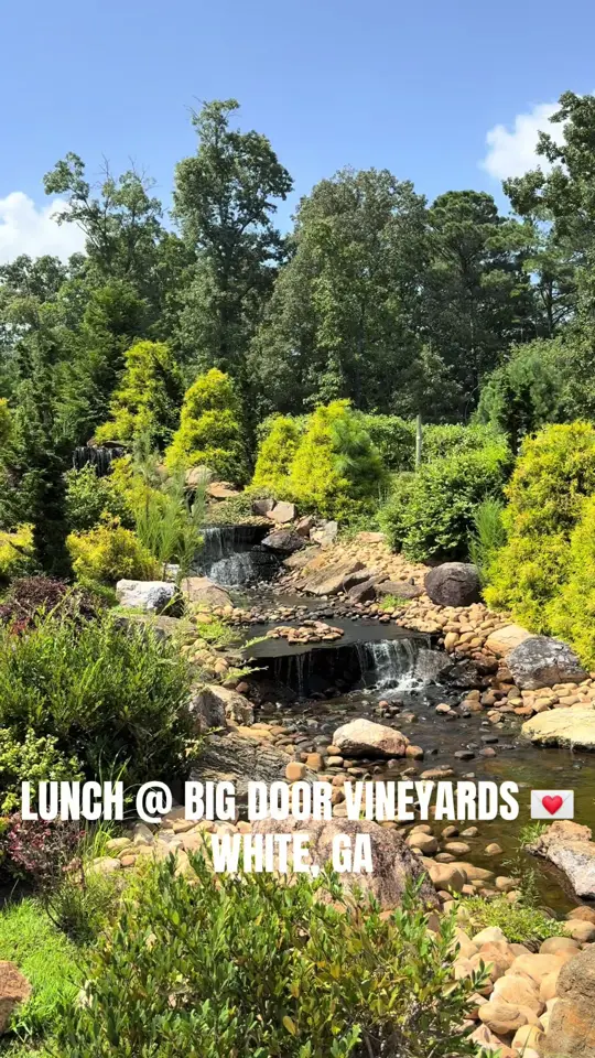 Big Door Vineyards in White showing visit, atmosphere, video by brooklynimanihill on TikTok