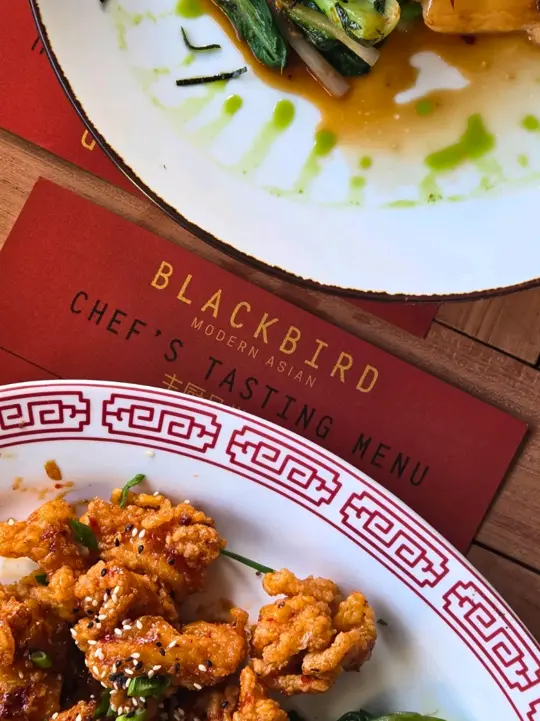 Blackbird Modern Asian in Naples showing review, visit, food, truffle salmon crispy rice, chinese bbq short ribs, year of the snake dessert, cocktails, blackbird cocktail, modern fashion cocktail, kill, video by swflfoodjunkie on TikTok