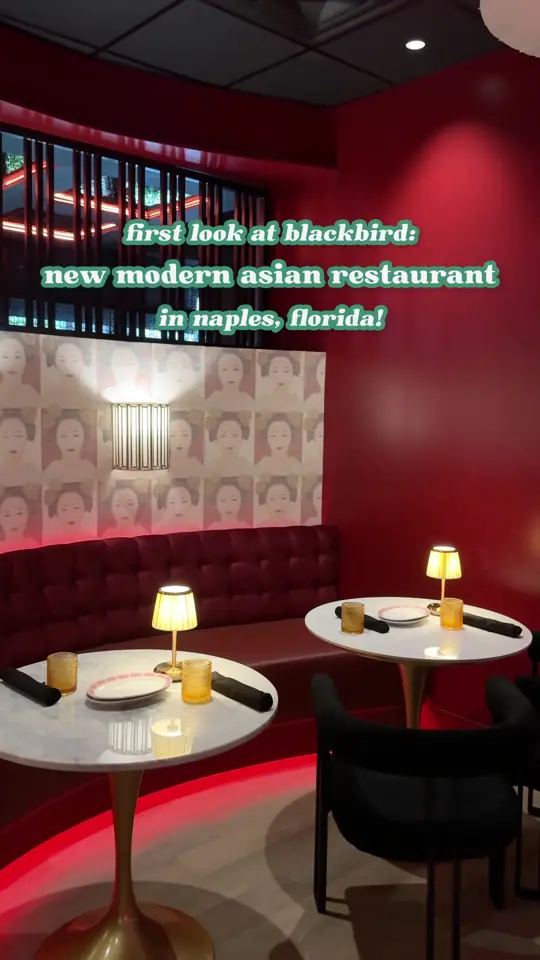 Blackbird Modern Asian in Naples showing review, visit, luxurious atmosphere, elegant dishes, short rib dumplings, bone-marrow dumplings, king crab garlic noodles, peking duck, happy hour, video by naplesnoms on TikTok