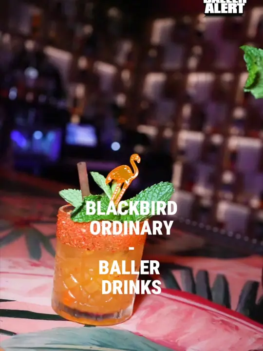 Blackbird Ordinary in Miami showing cocktail, the blackbird / cocktail, mass appeal, video by balleralert on TikTok