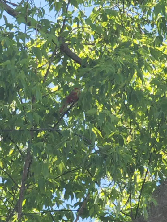  in Florida showing visit, atmosphere, video by kittyk38backup on TikTok