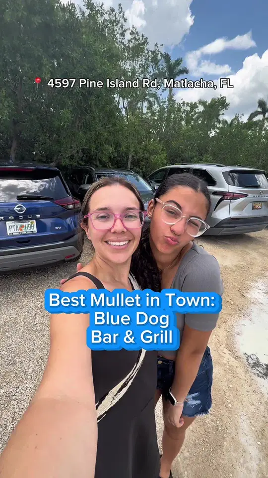 Blue Dog Bar & Grill in Matlacha showing review, visit, mullet, video by loveswfl on TikTok