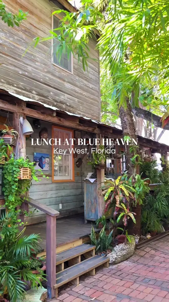 Blue Heaven in Key West showing atmosphere, live music, video by travelsbydawn on TikTok