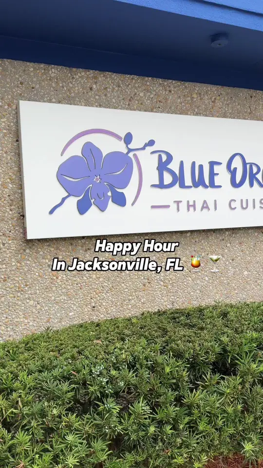 Blue Orchid Thai Cuisine in Jacksonville showing thai cuisine, food, video by breezefeeds on TikTok