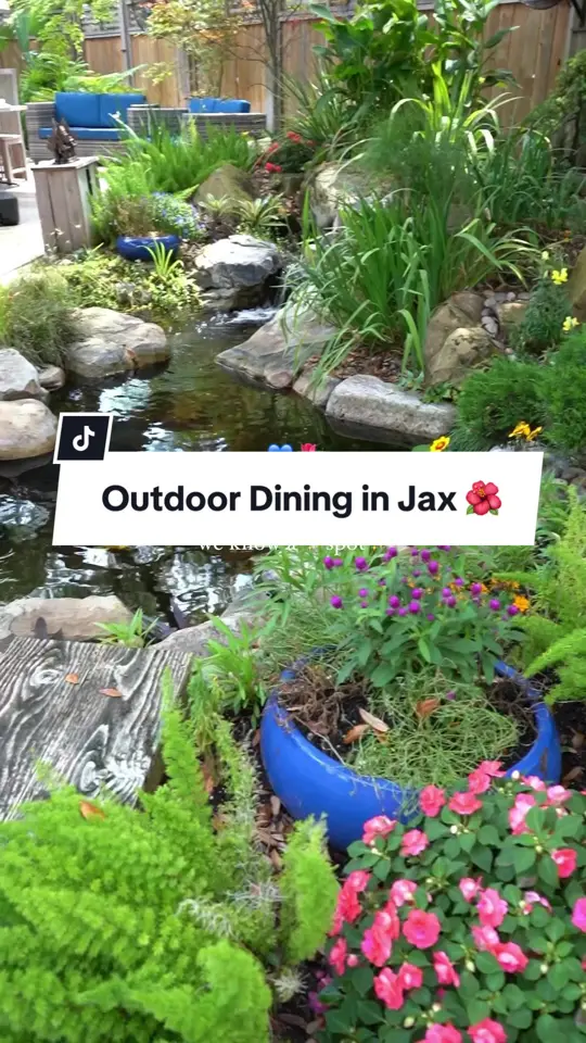 Blue Orchid Thai Cuisine in Jacksonville showing outdoor dining, patio, restaurant visit, video by stufftodoinjax on TikTok
