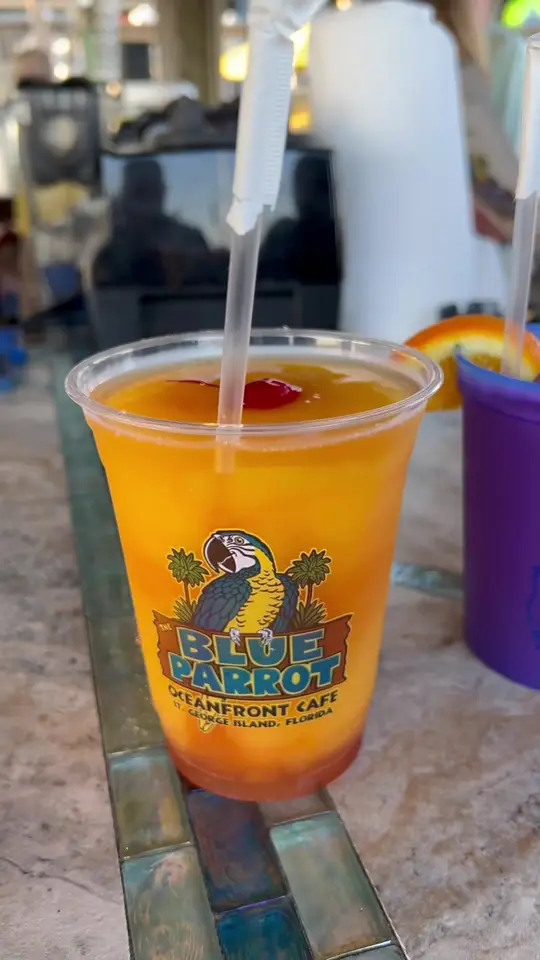  in Florida showing drinks, oysters, video by grubgod_ on TikTok
