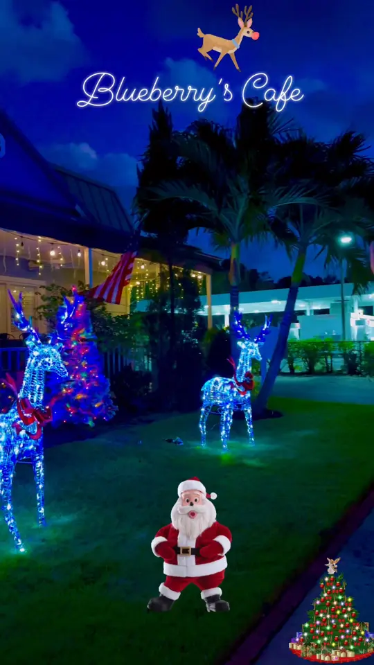 Blueberry's Restaurant in Naples showing holiday season vibes, atmosphere, video by Blueberry's Cafe on Facebook